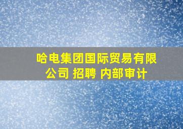 哈电集团国际贸易有限公司 招聘 内部审计